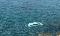 111n07.jpg
